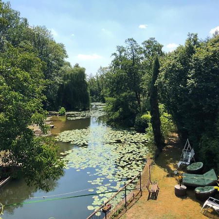 Annay-sur-Serein Magnifique Moulin Proche Chablis, Jacuzzi Et Riviereヴィラ エクステリア 写真