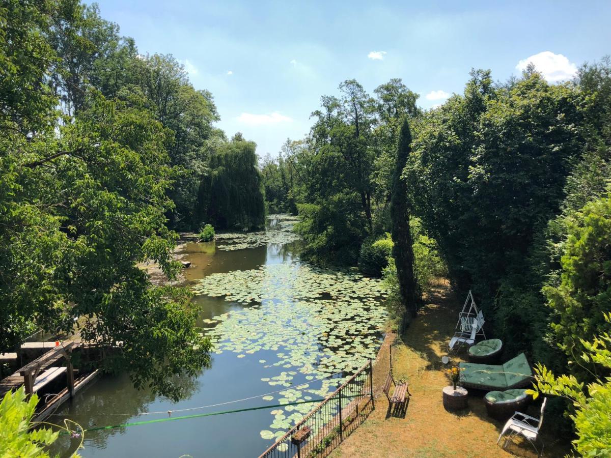 Annay-sur-Serein Magnifique Moulin Proche Chablis, Jacuzzi Et Riviereヴィラ エクステリア 写真