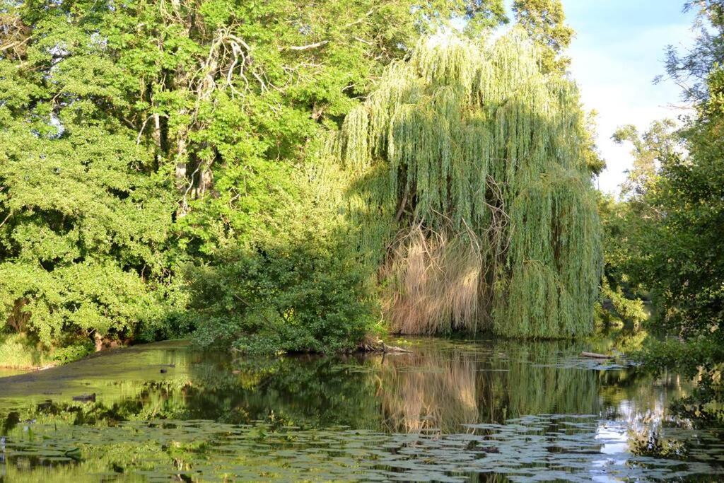 Annay-sur-Serein Magnifique Moulin Proche Chablis, Jacuzzi Et Riviereヴィラ エクステリア 写真