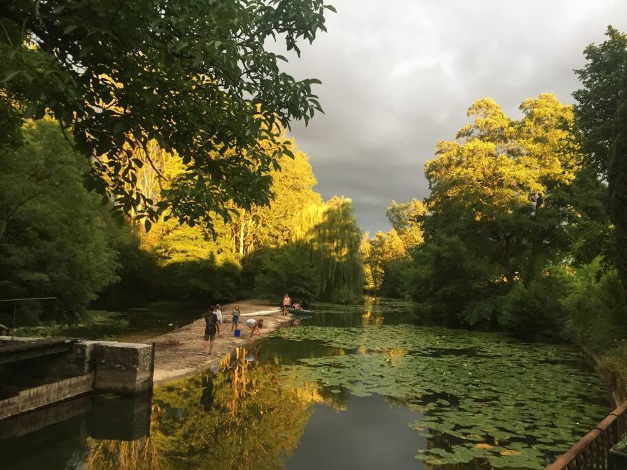 Annay-sur-Serein Magnifique Moulin Proche Chablis, Jacuzzi Et Riviereヴィラ エクステリア 写真