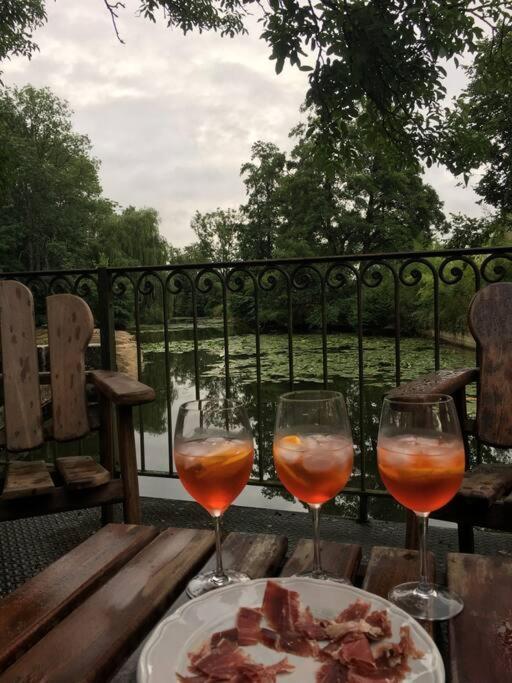 Annay-sur-Serein Magnifique Moulin Proche Chablis, Jacuzzi Et Riviereヴィラ エクステリア 写真