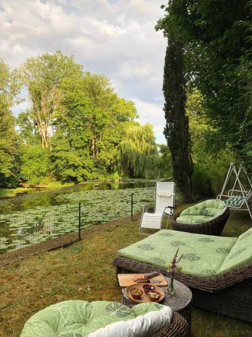 Annay-sur-Serein Magnifique Moulin Proche Chablis, Jacuzzi Et Riviereヴィラ エクステリア 写真