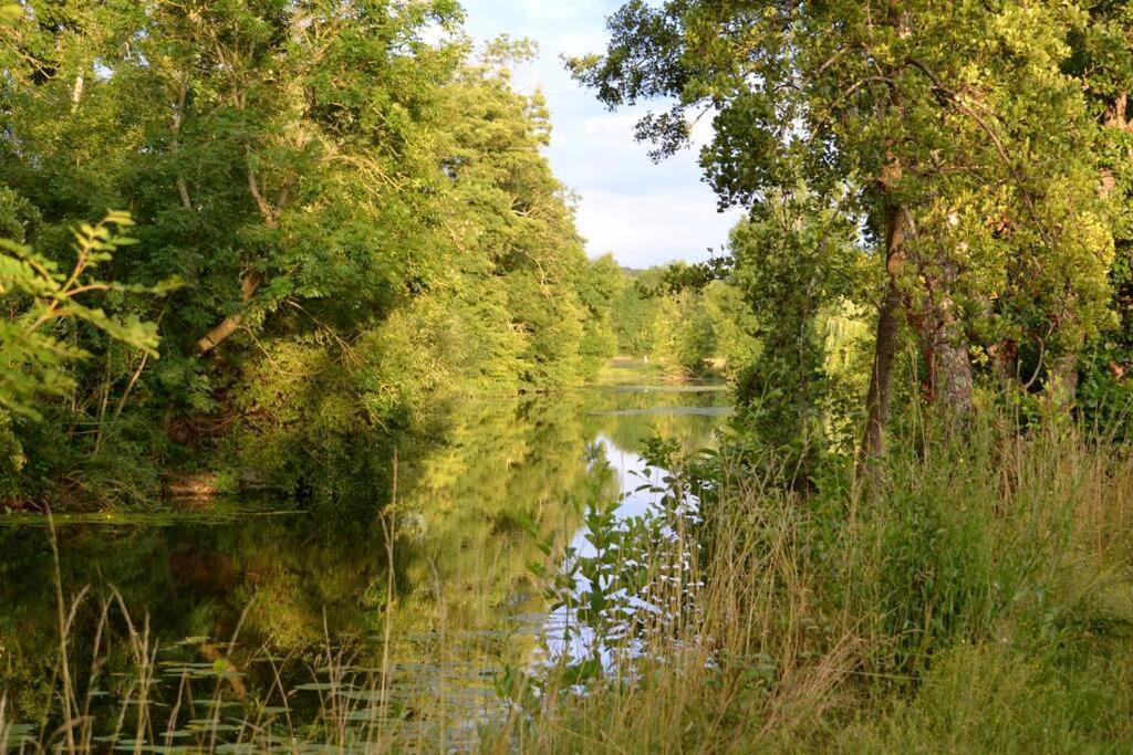 Annay-sur-Serein Magnifique Moulin Proche Chablis, Jacuzzi Et Riviereヴィラ エクステリア 写真