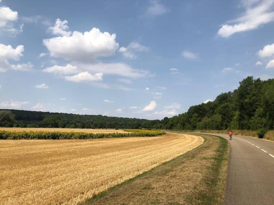 Annay-sur-Serein Magnifique Moulin Proche Chablis, Jacuzzi Et Riviereヴィラ エクステリア 写真