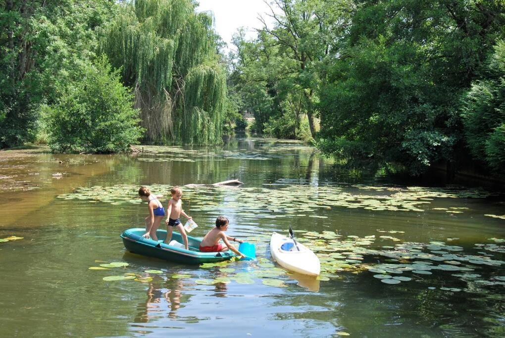 Annay-sur-Serein Magnifique Moulin Proche Chablis, Jacuzzi Et Riviereヴィラ エクステリア 写真