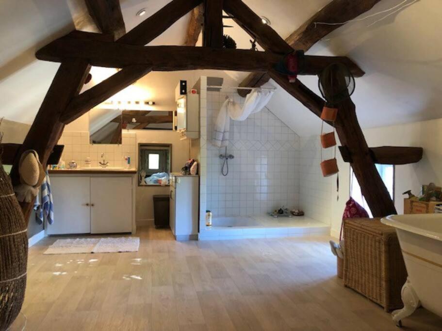 Annay-sur-Serein Magnifique Moulin Proche Chablis, Jacuzzi Et Riviereヴィラ エクステリア 写真