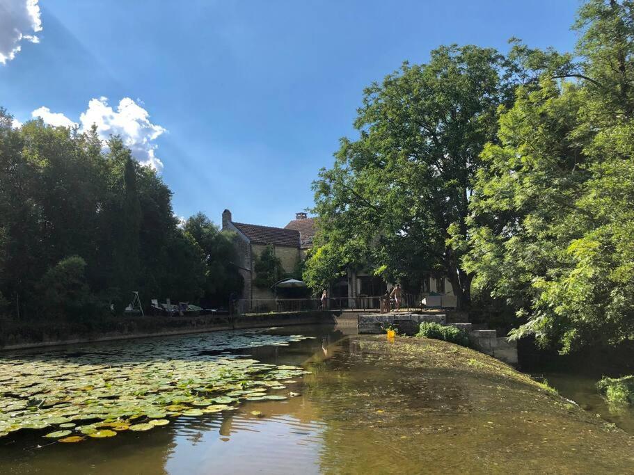 Annay-sur-Serein Magnifique Moulin Proche Chablis, Jacuzzi Et Riviereヴィラ エクステリア 写真