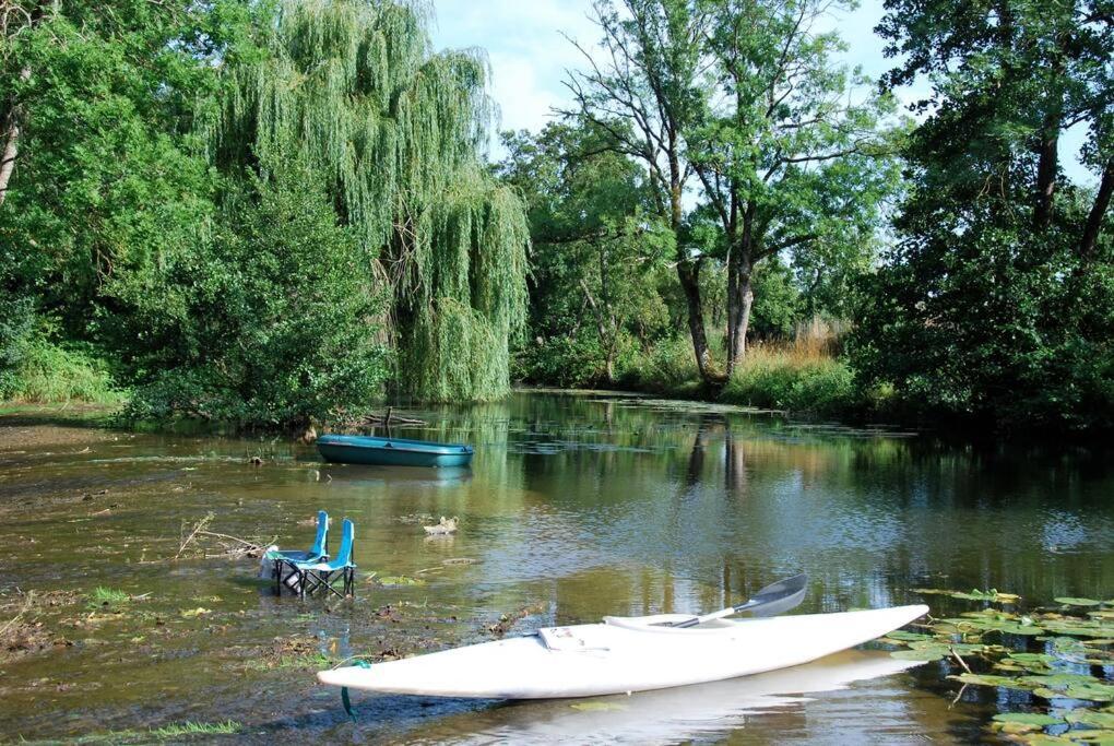 Annay-sur-Serein Magnifique Moulin Proche Chablis, Jacuzzi Et Riviereヴィラ エクステリア 写真