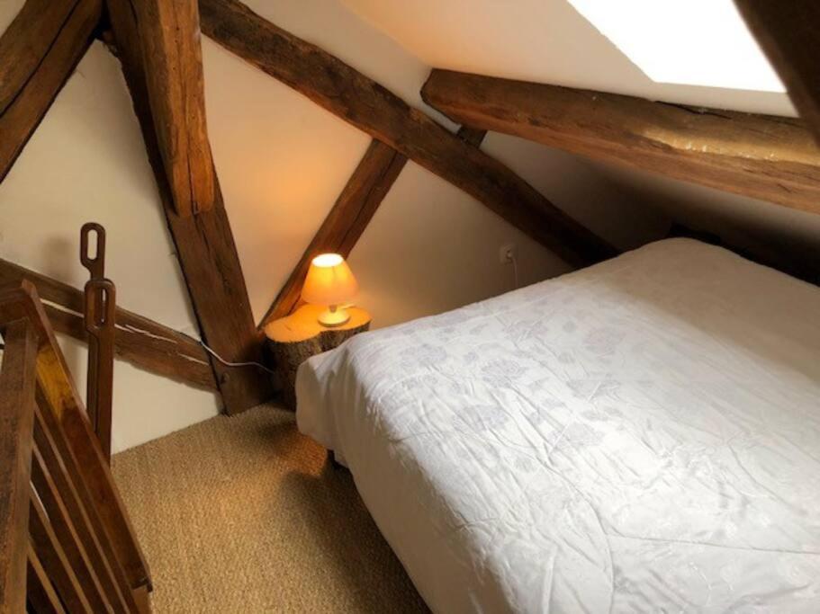 Annay-sur-Serein Magnifique Moulin Proche Chablis, Jacuzzi Et Riviereヴィラ エクステリア 写真