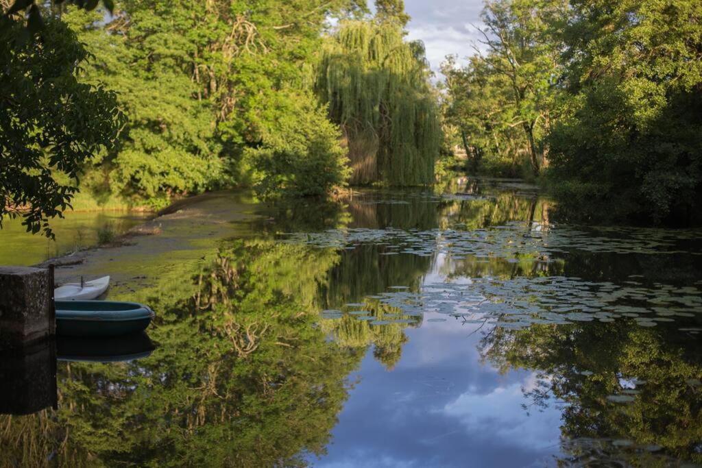 Annay-sur-Serein Magnifique Moulin Proche Chablis, Jacuzzi Et Riviereヴィラ エクステリア 写真