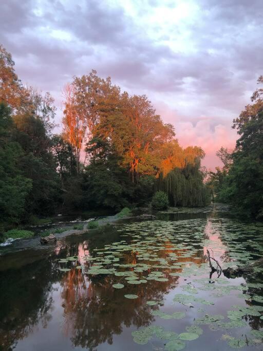 Annay-sur-Serein Magnifique Moulin Proche Chablis, Jacuzzi Et Riviereヴィラ エクステリア 写真