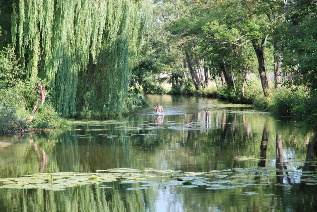 Annay-sur-Serein Magnifique Moulin Proche Chablis, Jacuzzi Et Riviereヴィラ エクステリア 写真