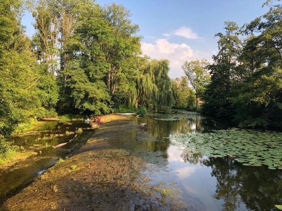 Annay-sur-Serein Magnifique Moulin Proche Chablis, Jacuzzi Et Riviereヴィラ エクステリア 写真