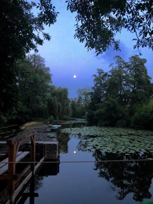 Annay-sur-Serein Magnifique Moulin Proche Chablis, Jacuzzi Et Riviereヴィラ エクステリア 写真