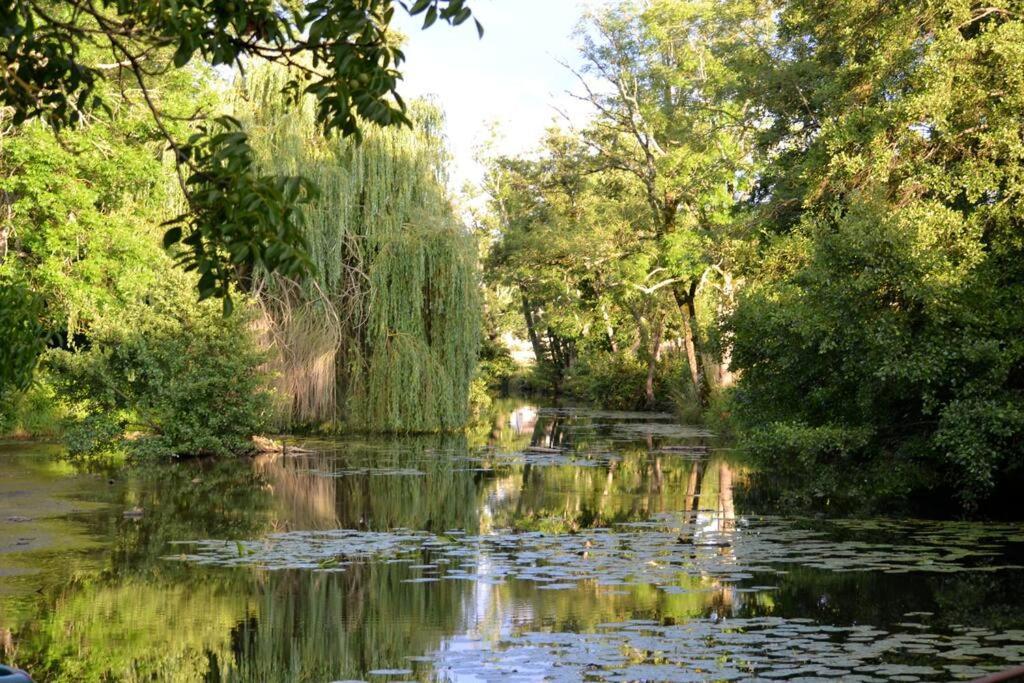 Annay-sur-Serein Magnifique Moulin Proche Chablis, Jacuzzi Et Riviereヴィラ エクステリア 写真