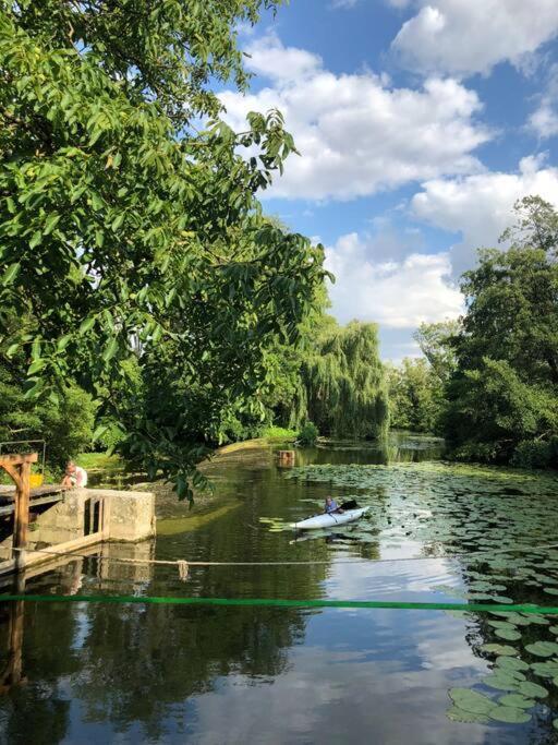Annay-sur-Serein Magnifique Moulin Proche Chablis, Jacuzzi Et Riviereヴィラ エクステリア 写真