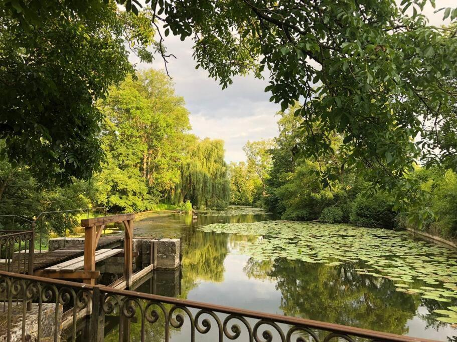 Annay-sur-Serein Magnifique Moulin Proche Chablis, Jacuzzi Et Riviereヴィラ エクステリア 写真